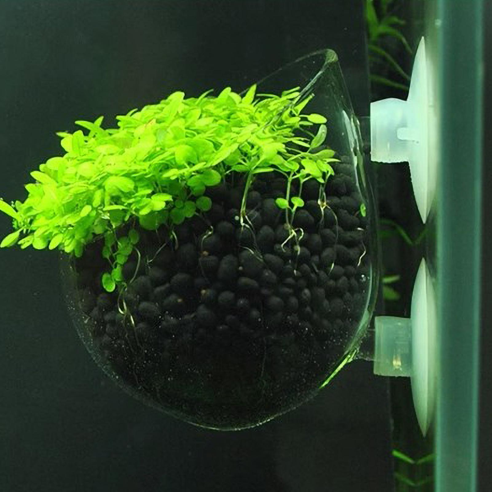 Aquarium Plant Gel - Soporte para Plantas de Acuario, Maceta