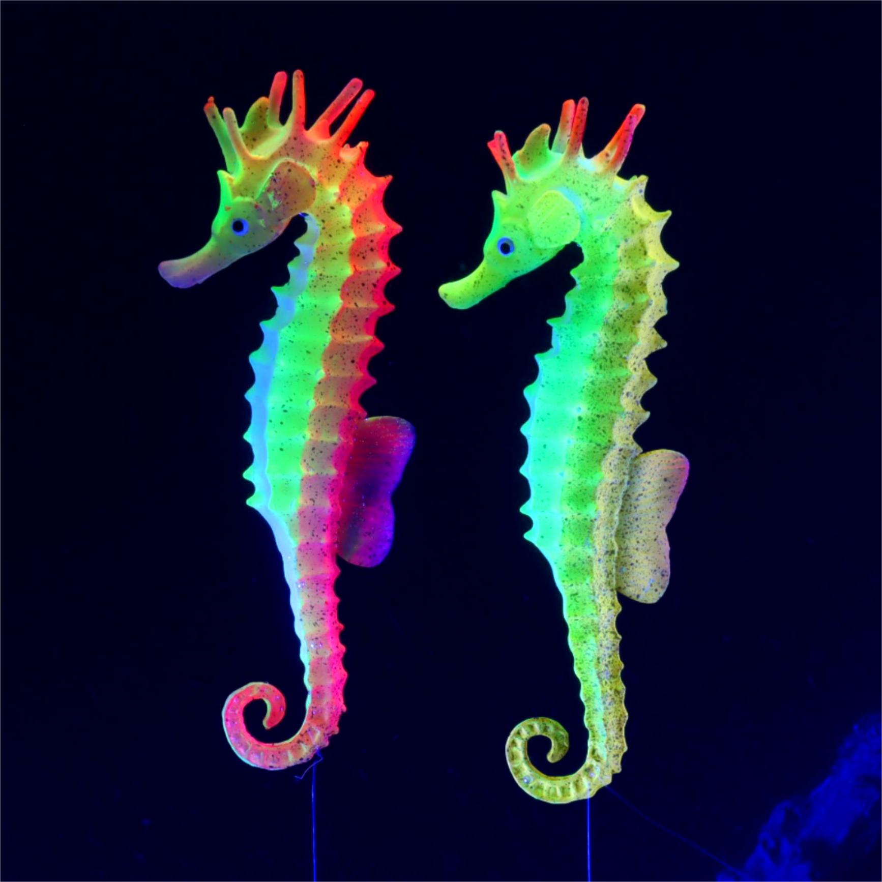 Aquarium Plant Gel - Decoración de pecera, caballos marinos artificiales