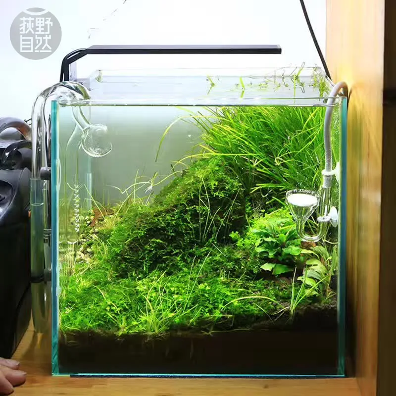 Aquarium Planted Tank Light - Chihiros Serie C Planta estilo ADA