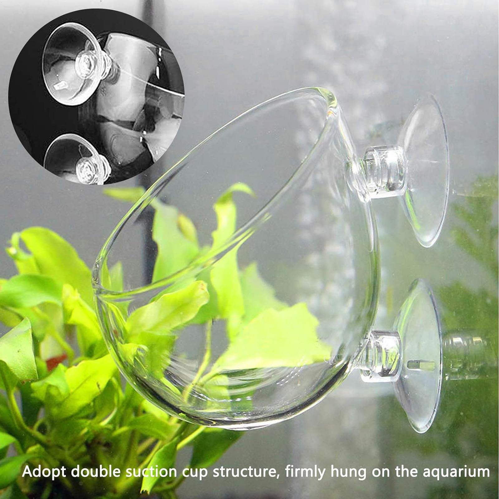 Aquarium Plant Gel - Maceta de vidrio para acuario con