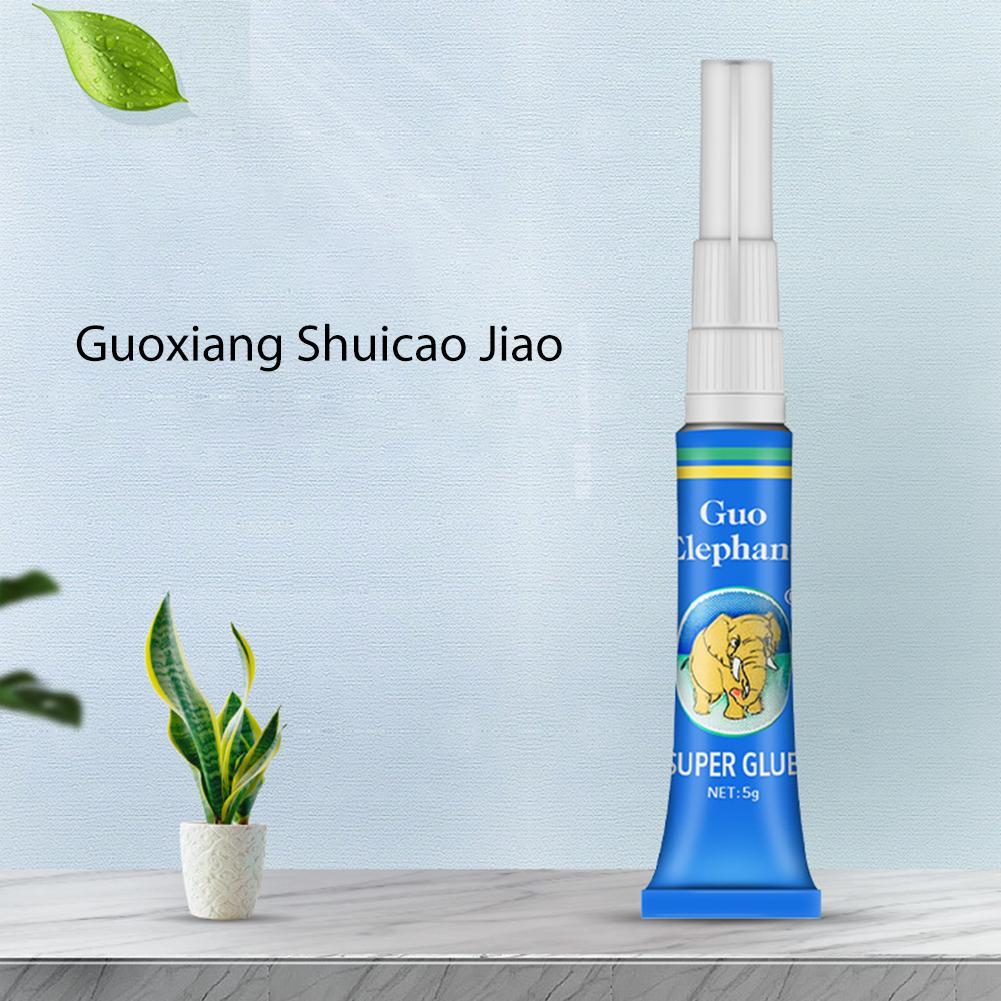 Aquarium Plant Gel - Pegamento para Musgo de Acuario, Adhesivo