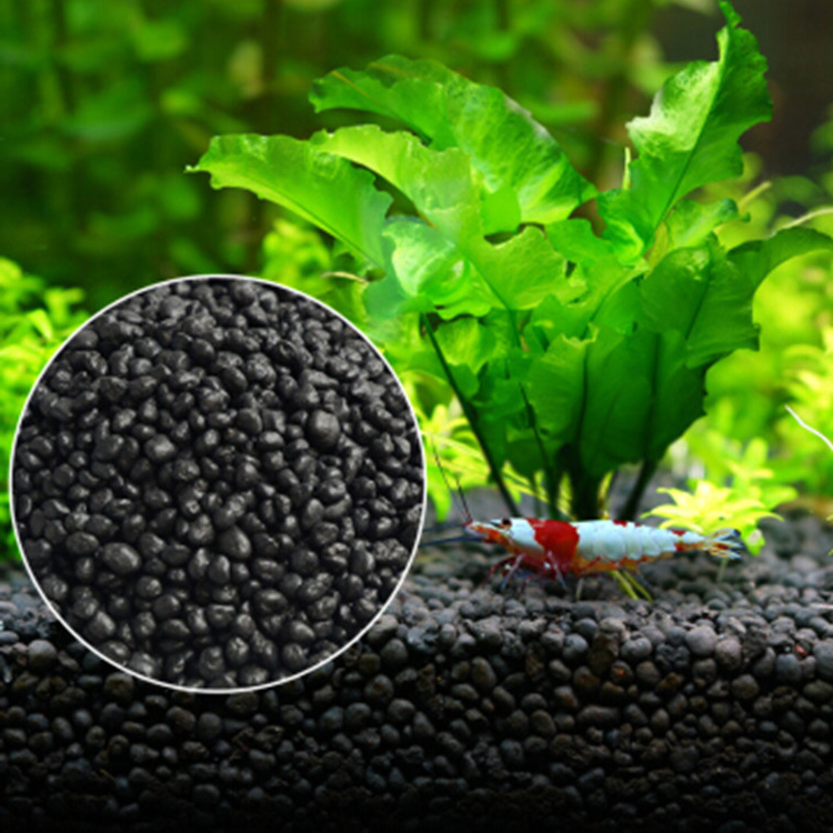 Aquarium Planted Fish - Semillas de plantas de Acuario, sustrato