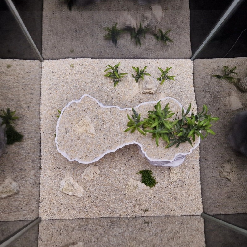 Cesta de Plantación Impresa en - Aquarium Planted Tank Soil reseña y precio