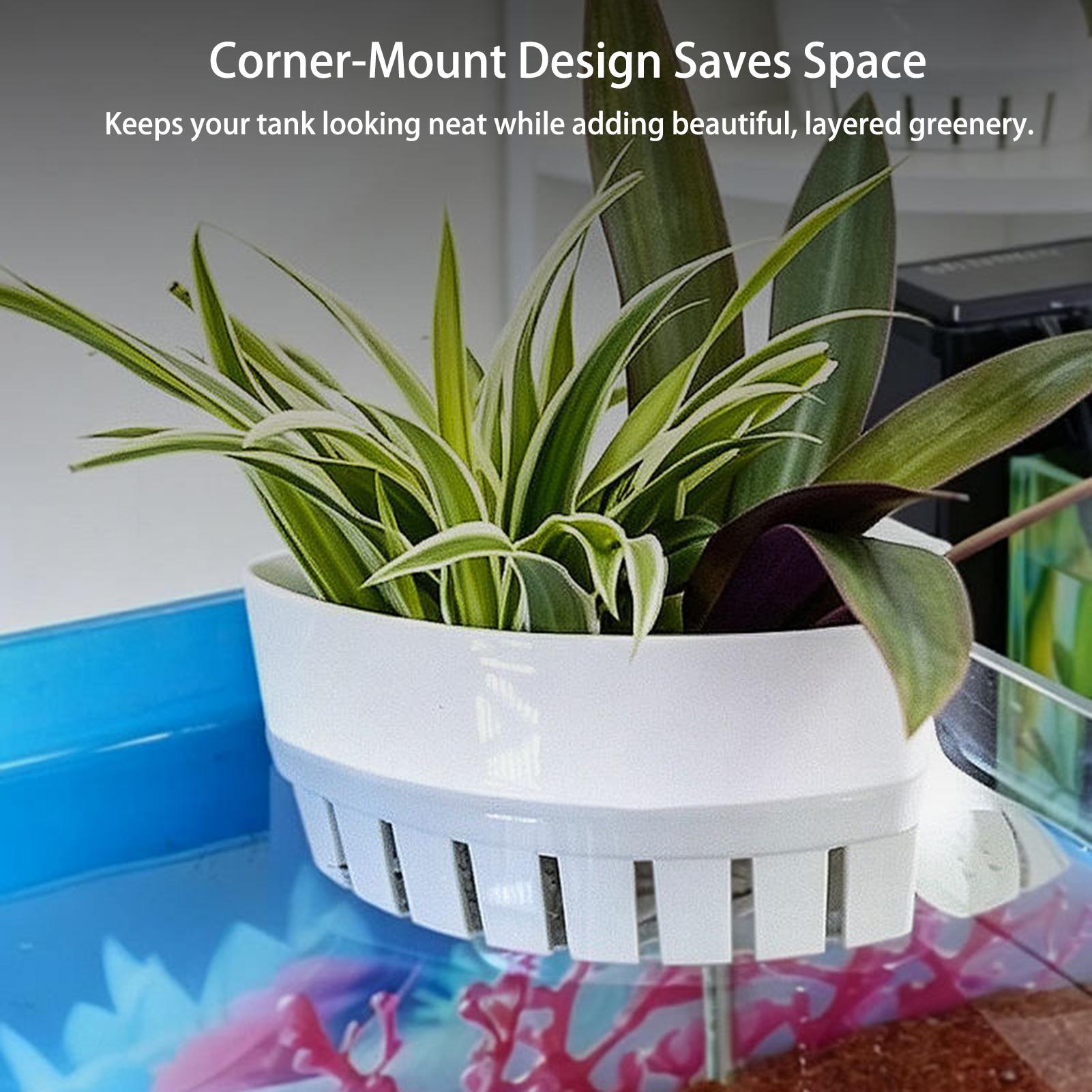 Cesta para Plantas de Acuario, - Aquarium Planted Background reseña y precio