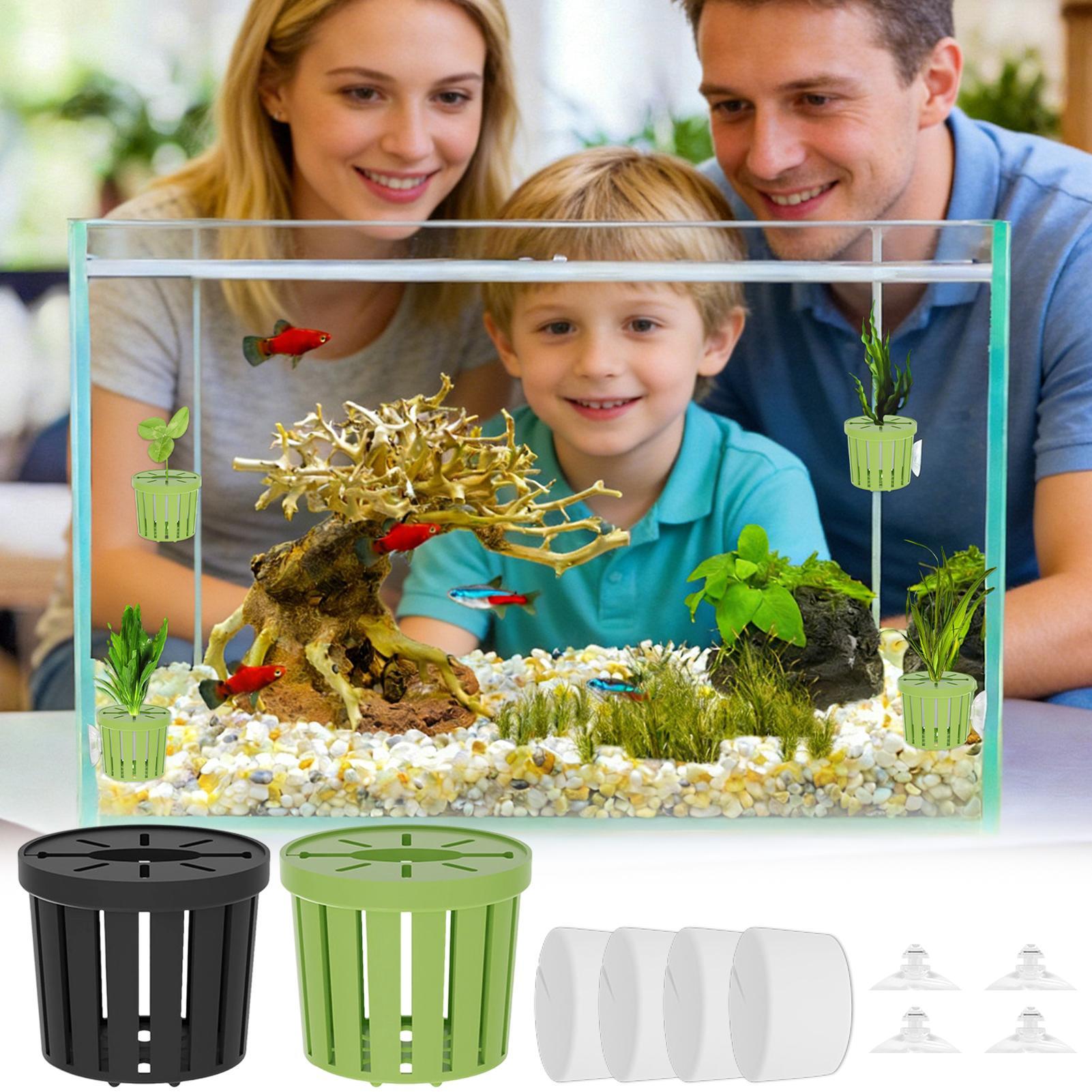 Juego de 4 Cestas Hidropónicas - Aquarium Planted Background reseña y precio