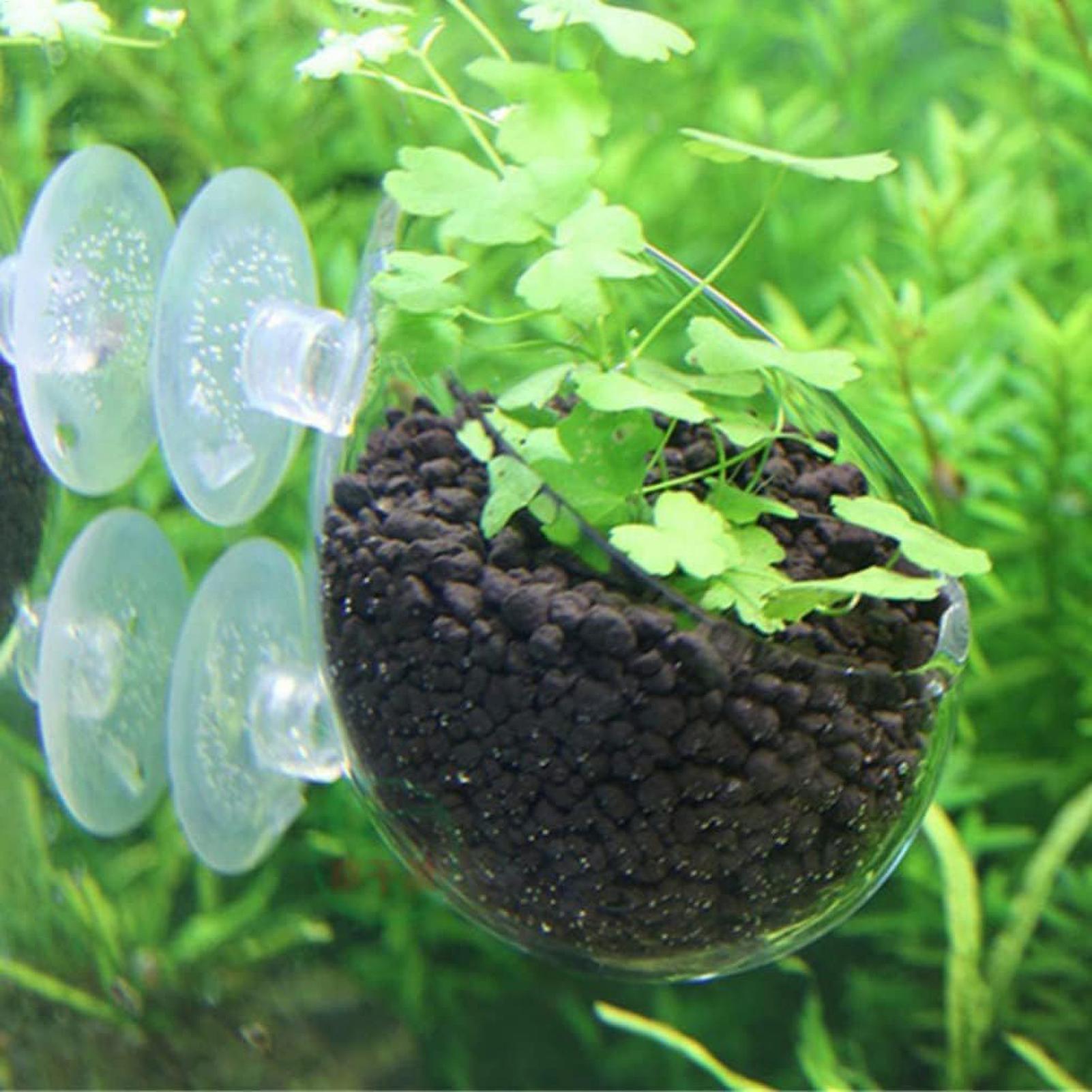 Soporte para Plantas de Acuari - Aquarium Plant Gel reseña y precio