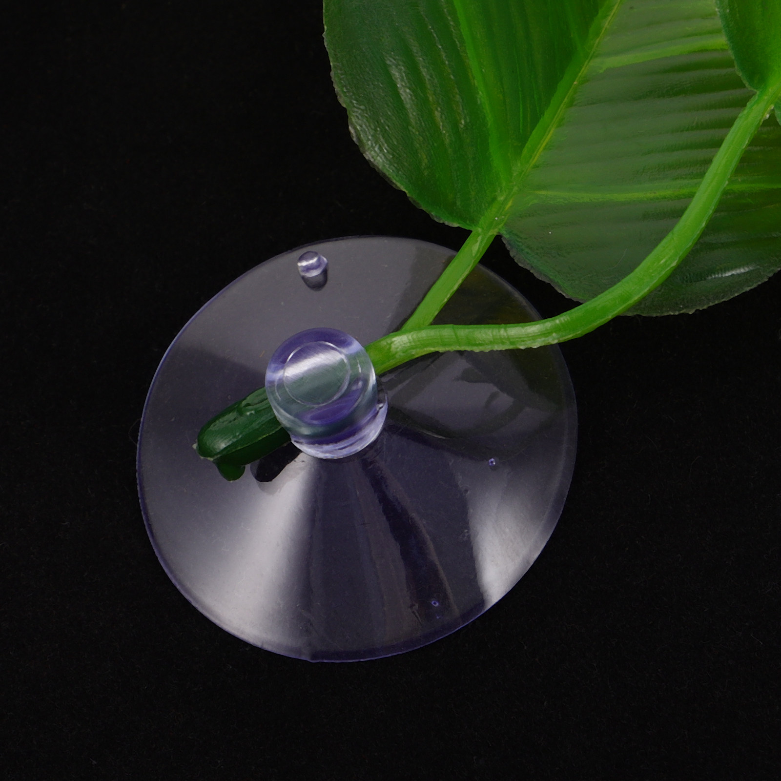 5 piezas de hojas artificiales - Planted Aquarium Betta reseña y precio