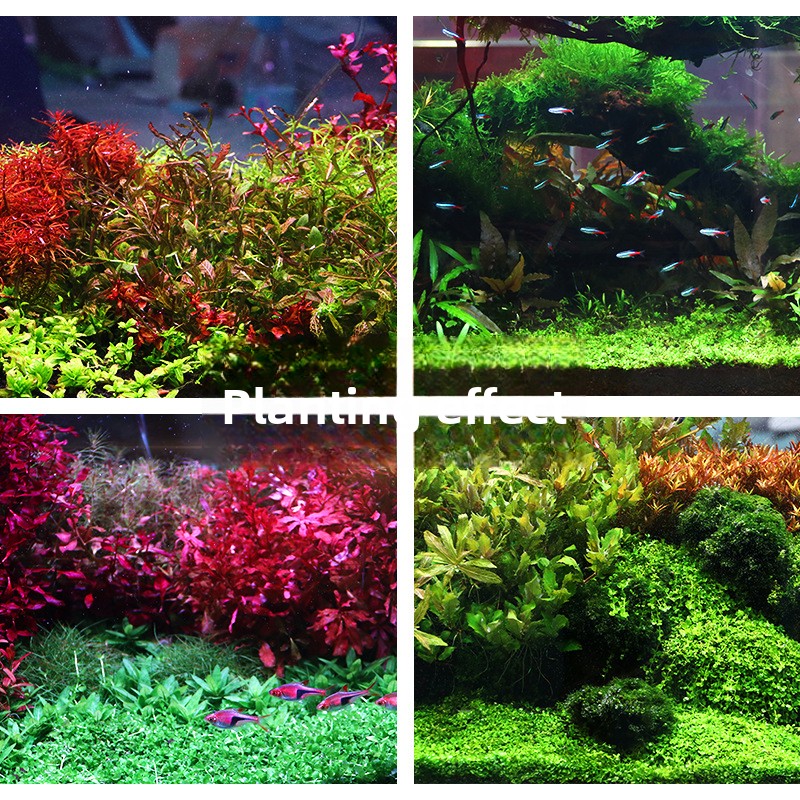 SYSENCIAGA-sustrato de acuario - Aquarium Planted Tank Soil reseña y precio