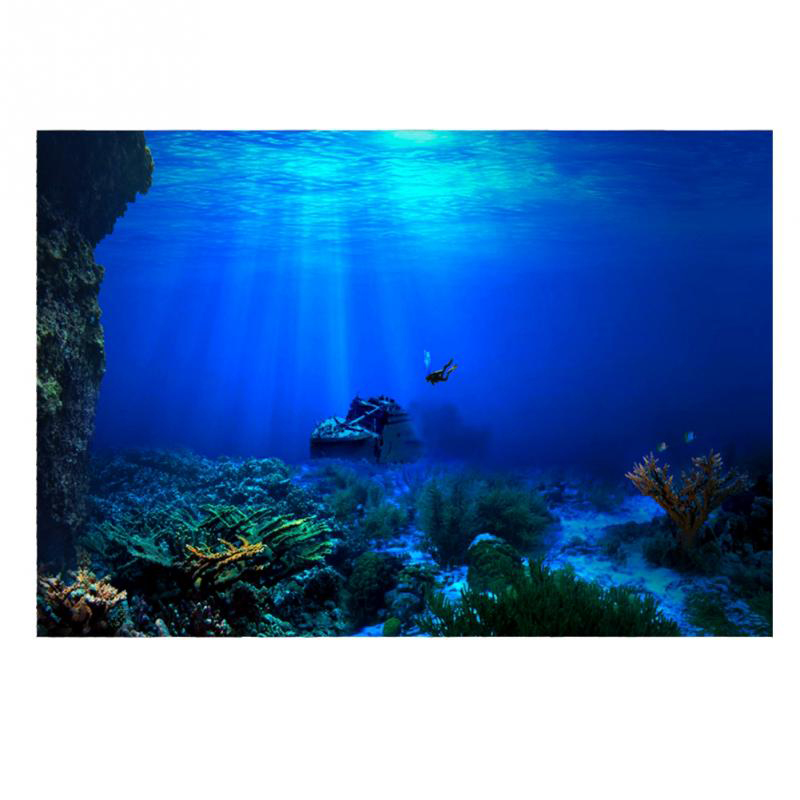 Fondo de pecera de 1 piezas, p - Aquarium Planted Background reseña y precio