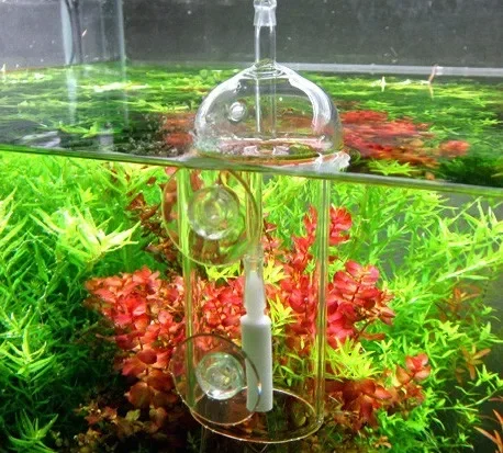 Dispositivo VIV Do, cilindro d - Aquarium Lily Pipe reseña y precio