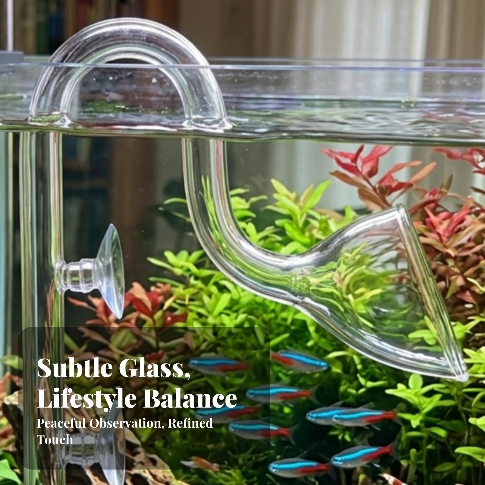 Conjunto de tubos Lily transpa - Aquarium Lily Pipe reseña y precio