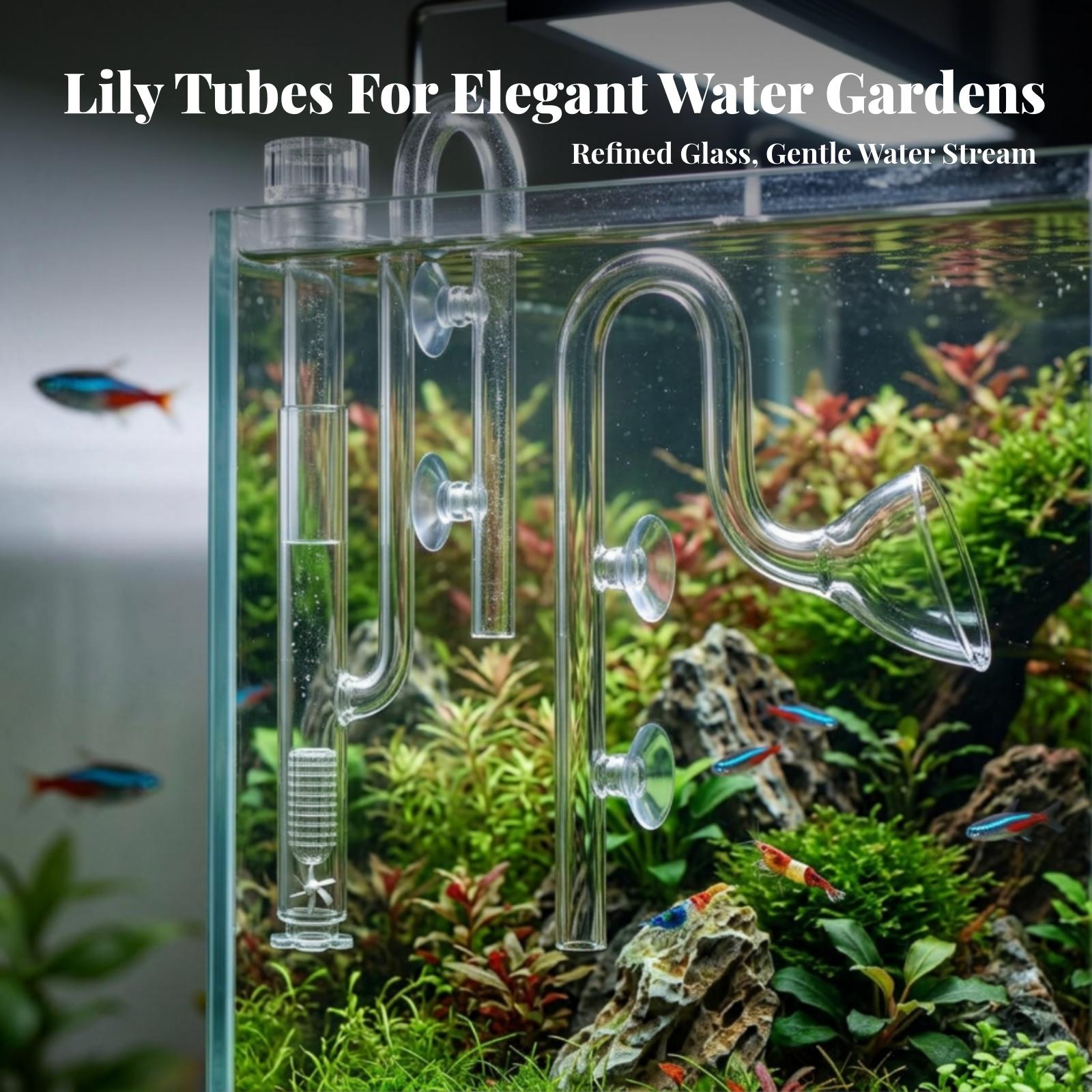 Conjunto de tubos Lily transpa - Aquarium Lily Pipe reseña y precio