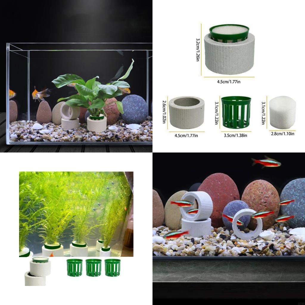 37ME Juego 10 anillos fijos pa - Aquarium Planted Background reseña y precio