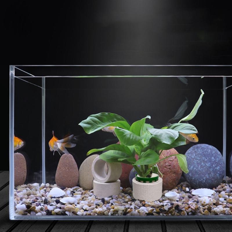 37ME Juego 10 anillos fijos pa - Aquarium Planted Background reseña y precio
