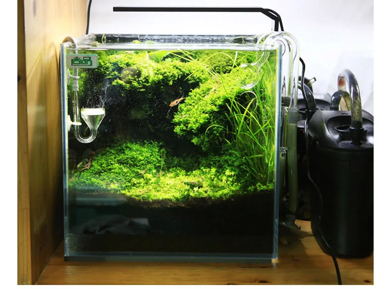 Chihiros Serie C Planta estilo - Aquarium Planted Tank Light reseña y precio