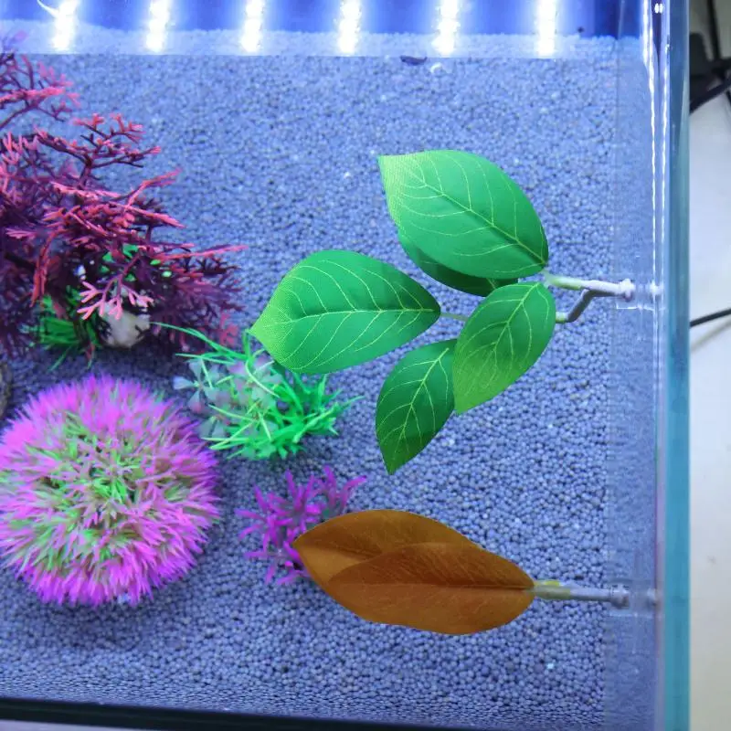 Hamaca de hojas de pescado Bet - Planted Aquarium Betta reseña y precio