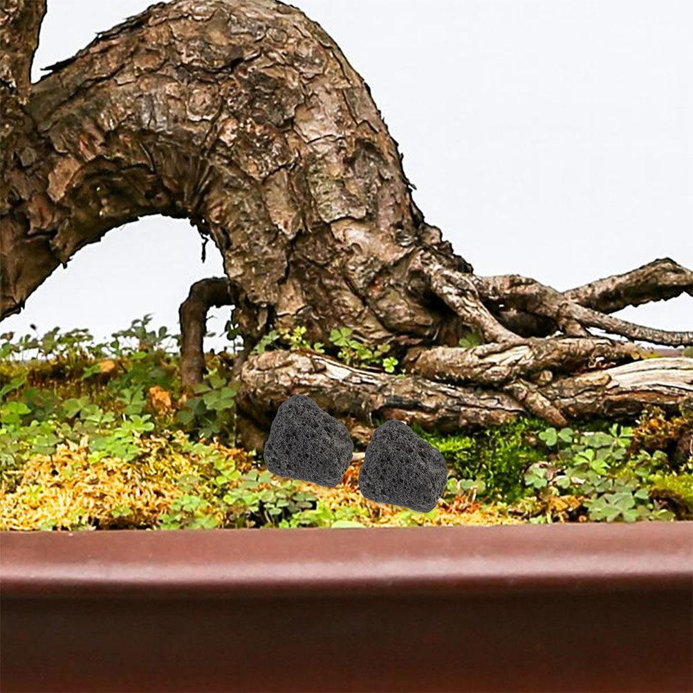 Piedras Volcánicas Naturales p - Aquarium Planted Tank Filter reseña y precio
