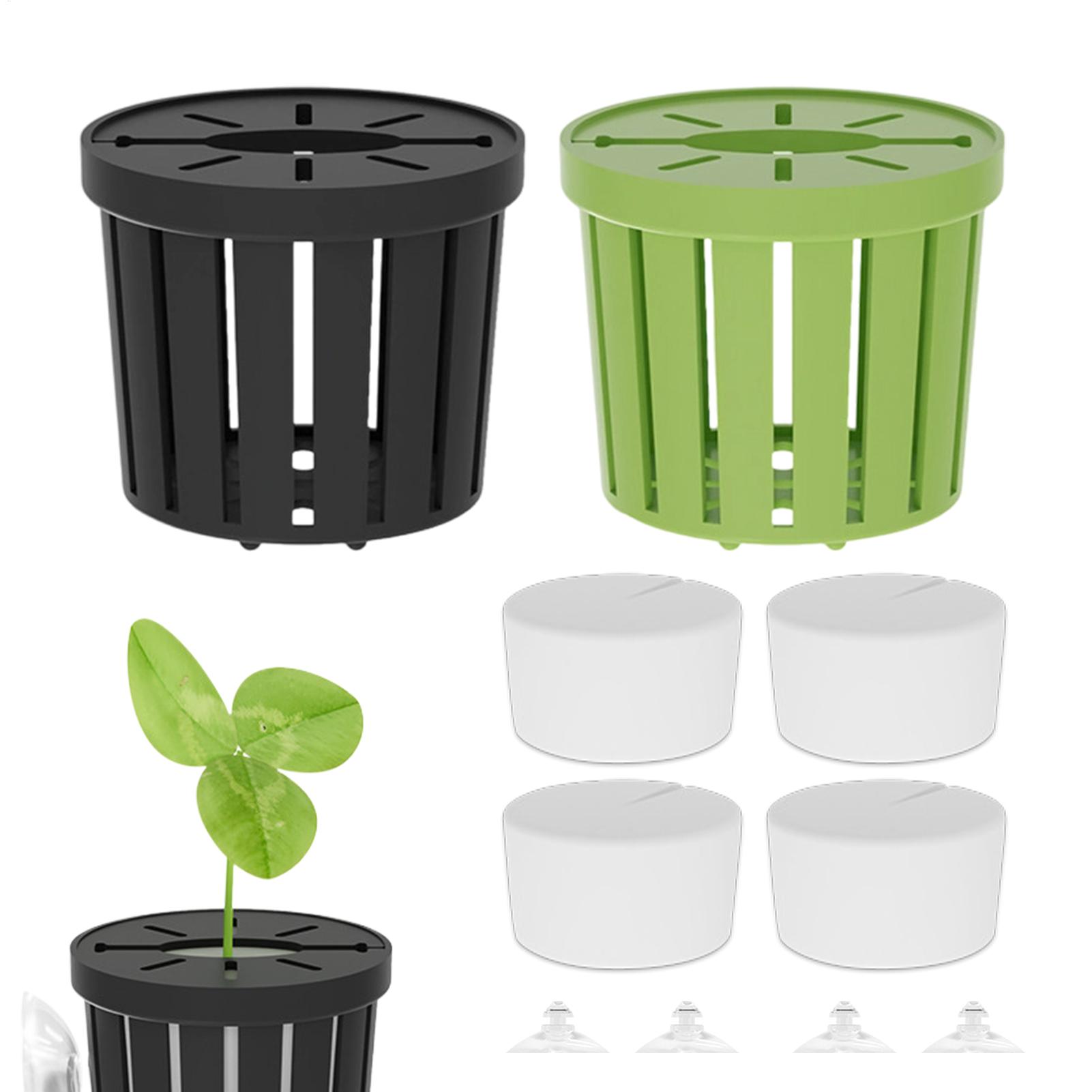 Juego de 4 Soportes para Plant - Aquarium Planted Background reseña y precio