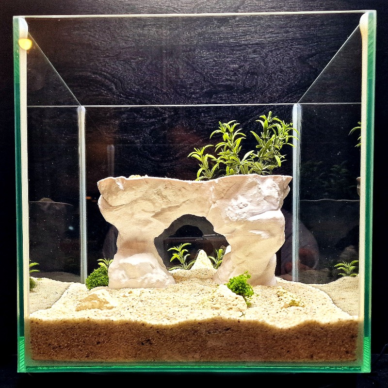 Cesta de plantación para acuar - Aquarium Planted Tank Soil reseña y precio