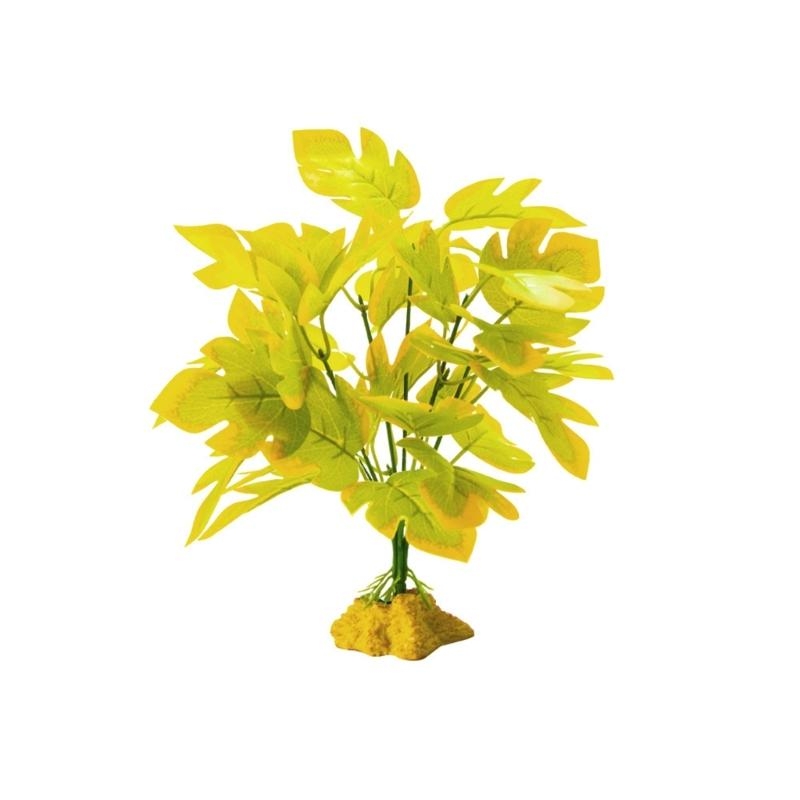 Aquarios peces planta colgante - Aquarium Planted Fish reseña y precio