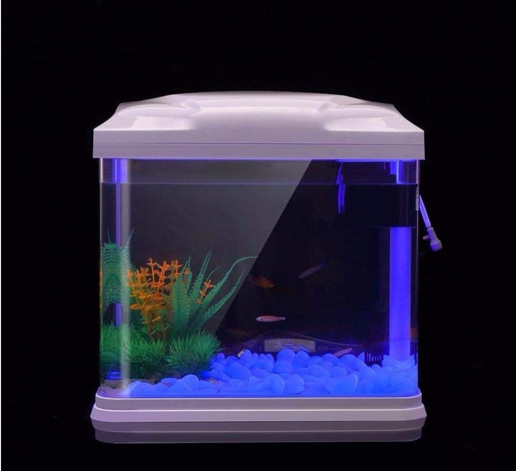 Rocas para pecera, guijarros a - Aquarium Planted Fish reseña y precio