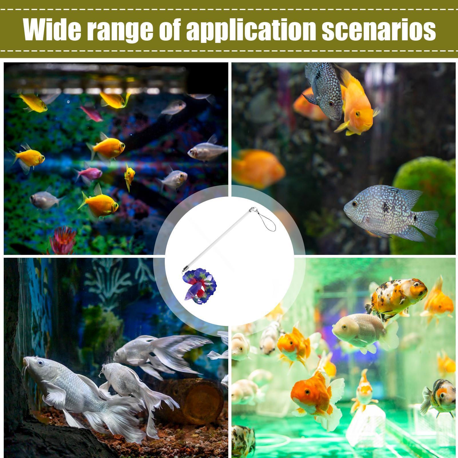 Varita de entrenamiento para p - Planted Aquarium Betta reseña y precio