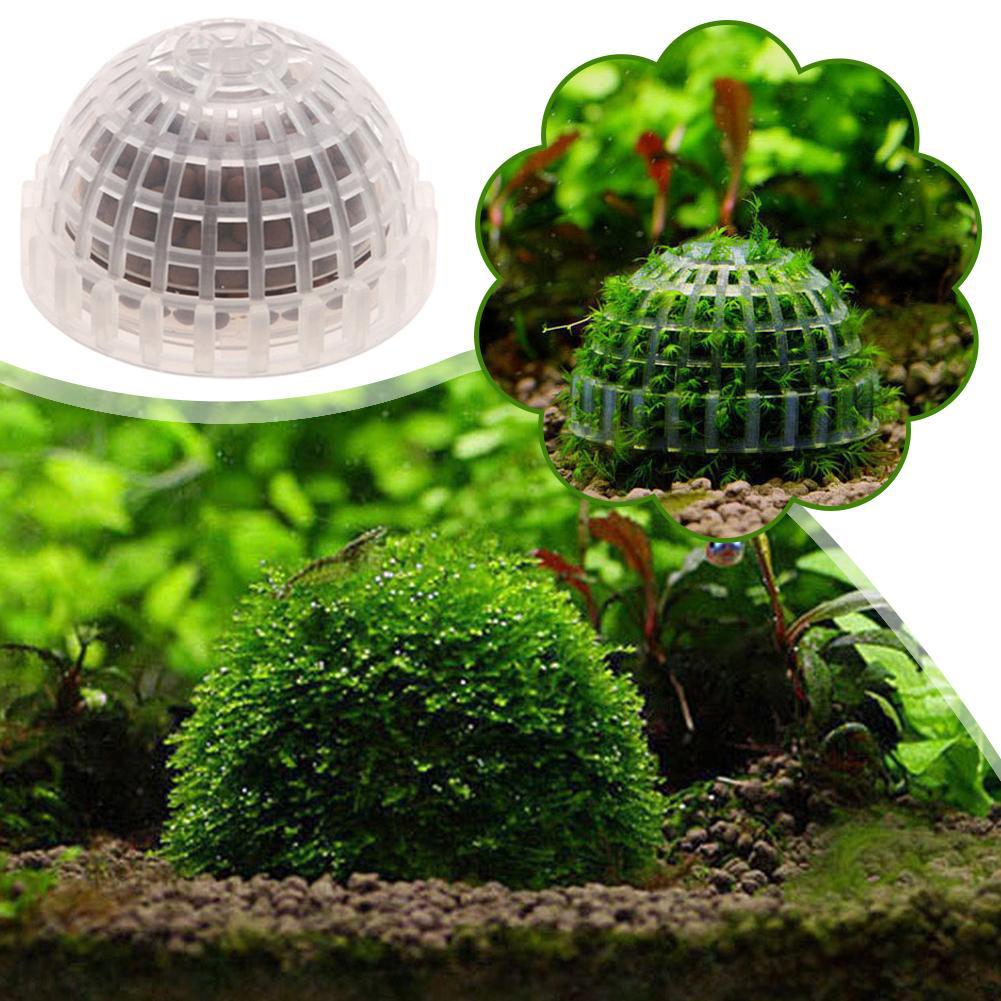 1-5 Piezas de Plantas Decorati - Aquarium Planted Background reseña y precio