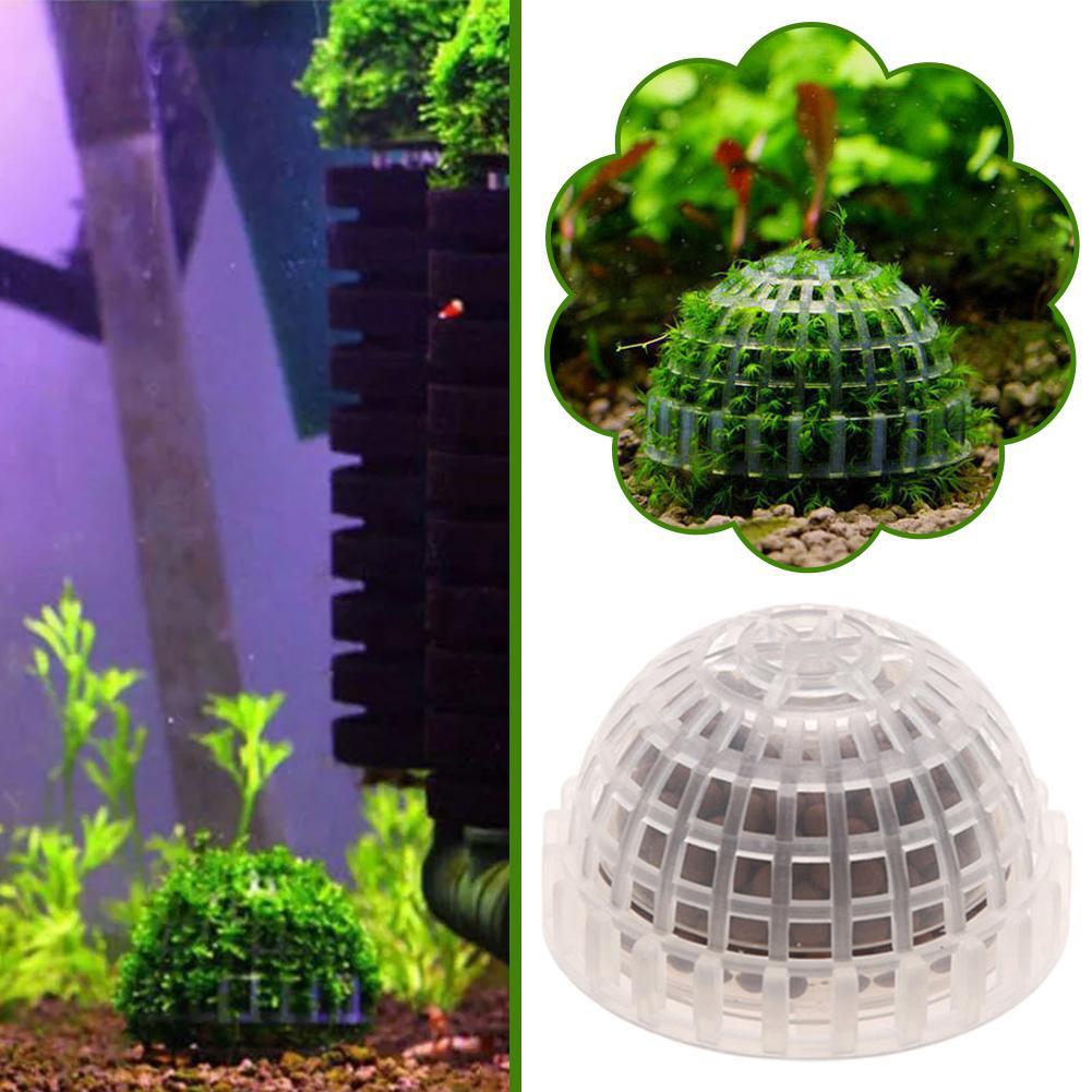 1-5 Piezas de Plantas Decorati - Aquarium Planted Background reseña y precio