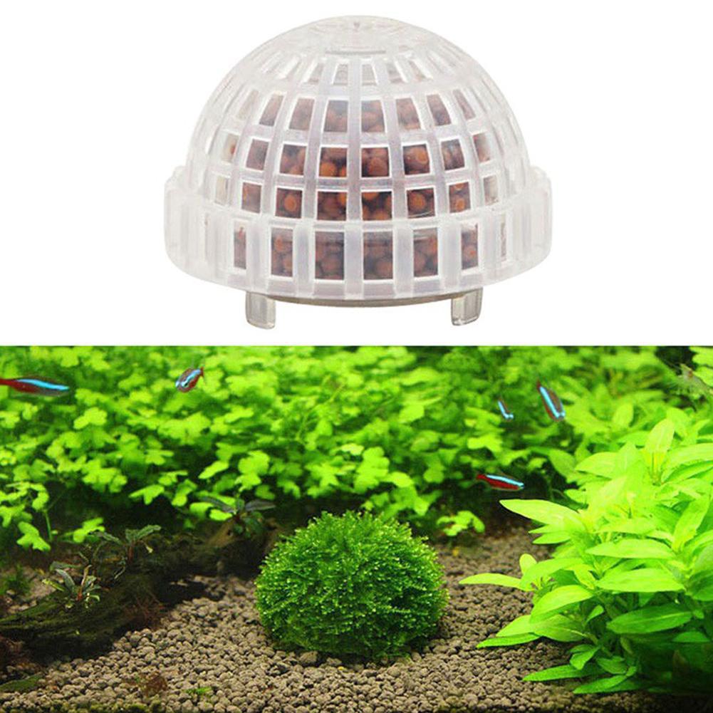 1-5 Piezas de Plantas Decorati - Aquarium Planted Background reseña y precio