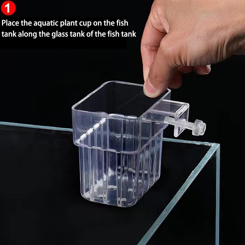 Taza de plantación de hierba d - Aquarium Planted Fish reseña y precio