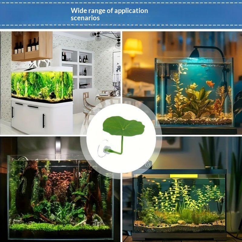 3/5/10 Piezas de Hojas de Loto - Planted Aquarium Betta reseña y precio