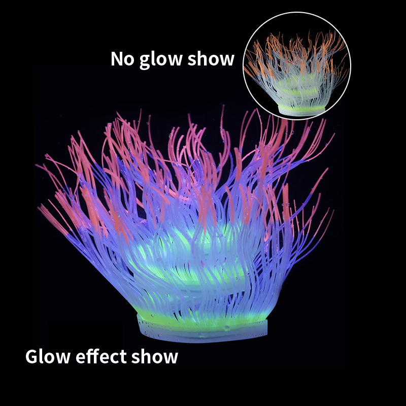 Plantas de Coral de anémona ma - Aquarium Plant Gel reseña y precio