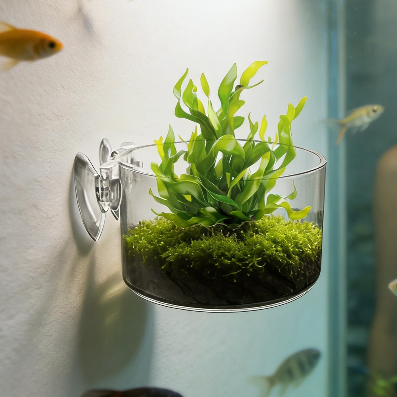 Soporte para Plantas de Acuari - Aquarium Planted Background reseña y precio