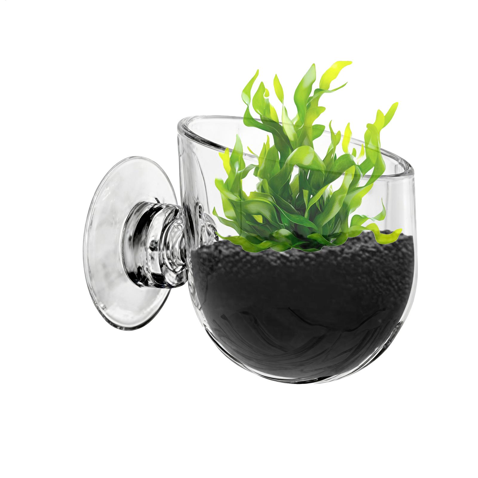 Soporte para Plantas de Acuari - Aquarium Planted Background reseña y precio
