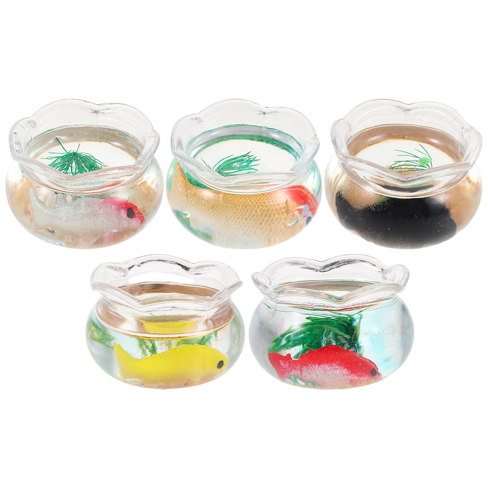 5 piezas de mini pecera redond - Aquarium Planted Fish reseña y precio